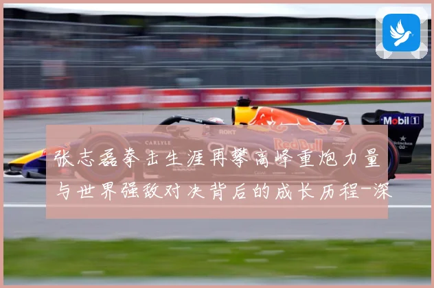 张志磊拳击生涯再攀高峰重炮力量与世界强敌对决背后的成长历程-深度解析